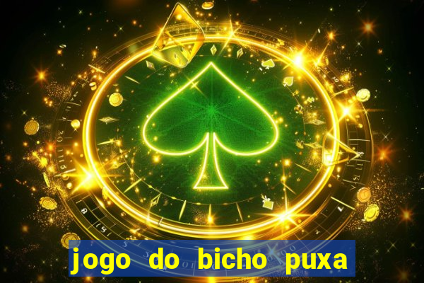 jogo do bicho puxa de dona maria